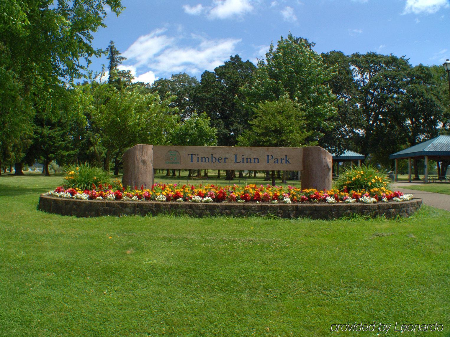 Rodeway Inn Albany Exterior foto